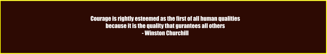 Courage is rightly esteemed as the first of all human qualities because it is the quality that gurantees all others - Winston Churchill