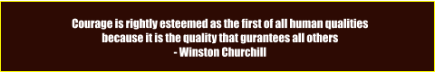 Courage is rightly esteemed as the first of all human qualities because it is the quality that gurantees all others - Winston Churchill